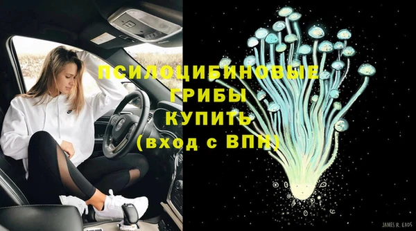 гашик Волоколамск