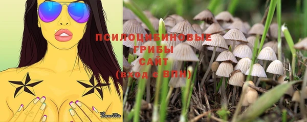 гашик Волоколамск