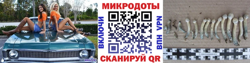 Псилоцибиновые грибы ЛСД  хочу наркоту  Бийск 