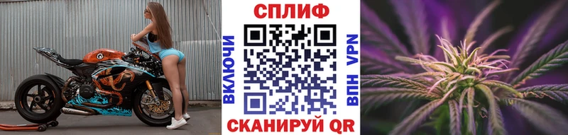 продажа наркотиков  Бийск  Бошки Шишки Amnesia 